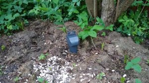 Кротоловка SUPER CAT.