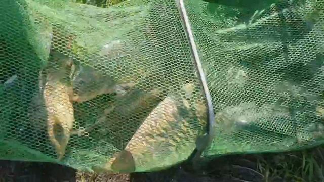 28-05-2025 смотреть онлайн