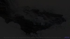 Природа заиграла новыми красками вместе с этим треком - Fearzone feat NatJames -- Shaolin Dub -- Mac