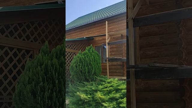 Покраска Ремонт и Реконструкция Деревянных домов Сру?