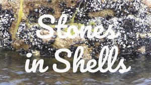 Stones in shells