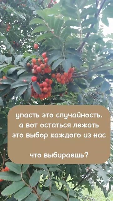 Психология. Саморазвитие