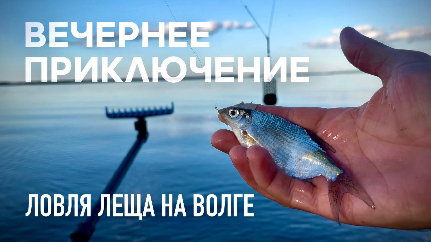 Ого! Вот это лопаты 😀!  Вечернее приключение !!! Рыбалка на ВОЛГЕ.
