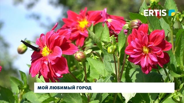 Мой любимый город