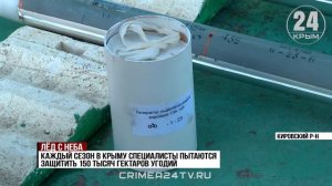 В Крыму запускают ракеты в градоопасные облака для защиты сельскохозяйственных территорий