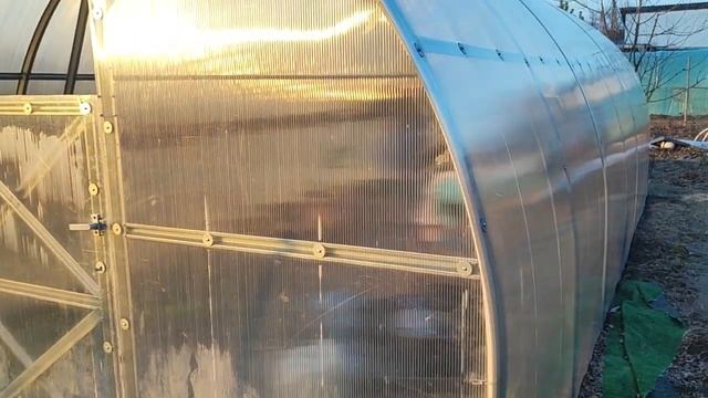 🍅Порівняння теплиць:з полікарбонату і під плівковою?