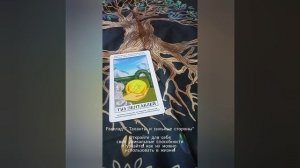 Расклады на Таро и Ленорман