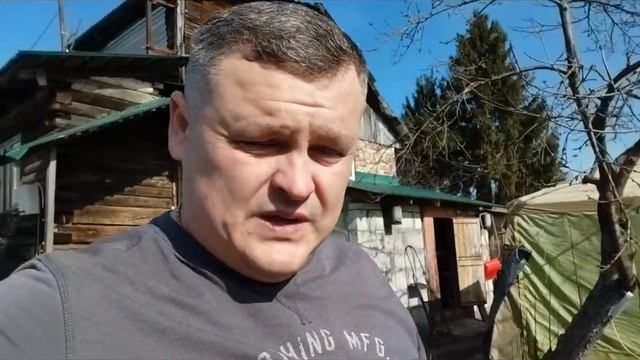 Абиссинка невозможна, мало песка!