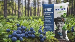 Хвойный грунт от Фертики