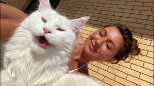 КОТ ИЗ РОССИИ ПОКОРИЛ ИНОСТРАНЦЕВ. Его зовут Кефир