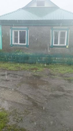 Хороший месяц май на Алтае нынче