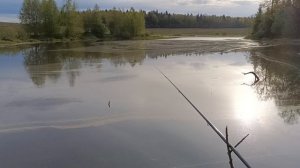 Рыбалка на зорьке.