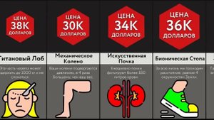 Сколько Стоят Эти Части Тела