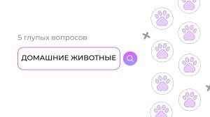 Тайны ваших животных: 5 глупых вопросов