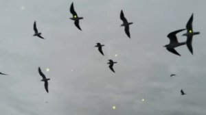 Загадочный напиток на ночь — и сахар снижается мгнове