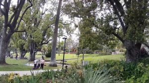 Райский Сад. Garden Of Eden.