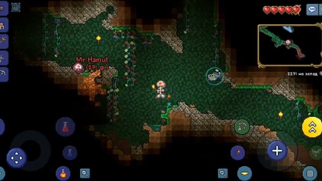 Исследуем всю карту. Terraria #5.