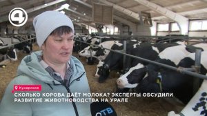 Как коровы из Кунарского села ставят рекорды по произ?
