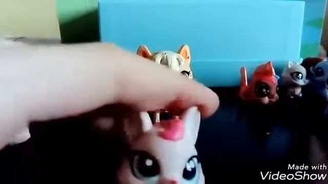 Шок мечты сбываются!! Обзор на набор лпс активные приключения вместе с катец смотреть онлайн