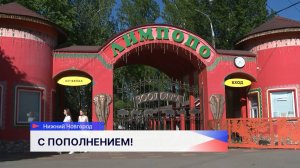 В зоопарке «Лимпопо» произошло пополнение в семействе животных