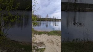 мой прямой номер +79535323688 2700 сутки