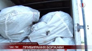 В день Дунаю прибирали Боржаву: масштабна еко акція у ?