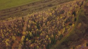 Видео, которое можно понять только с расширенным сознанием - испытайте! - Вампир (feat. Никита Проко