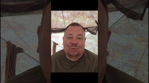 Сом на Дону весной