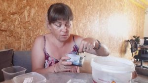 Пересадка и Адаптация из Фласок ОРХИДЕИ , Первые орхидеи в моем доме .