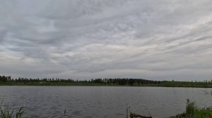 На велосипеде 38