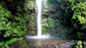 Трейлер тура по Абхазии