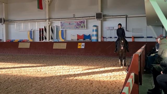 КСК Winner МК Лудина И.В. смотреть онлайн