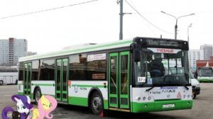 Поездка на автобусе Маршрут № Н5 Москва