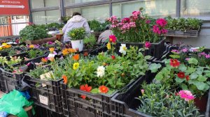 Снос рынка на автовокзале . Владивосток