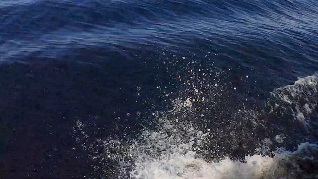 104 | яхта идет на СЕВЕР | Петрозаводск - Шпицберген ЧАСТ? смотреть онлайн