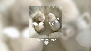 •||speed up комфортных и ваушных песен без мата🤍🫶🏻