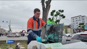 Новую технологию при озеленении территорий применяют в Тюмени