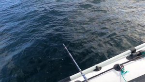 Баренцево море. Териберка. Май 2024г. Часть 2