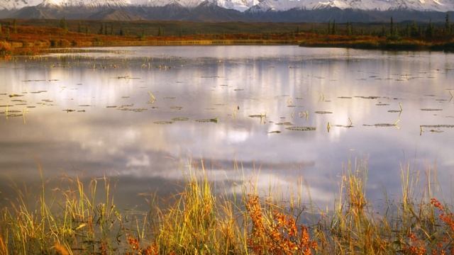 Подозревая невестку свекровь уговорила врача установ смотреть онлайн