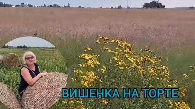 СКАНДАЛ С ПОДАРКАМИ. ANYANASTYA LIFE. ОБЗОР.