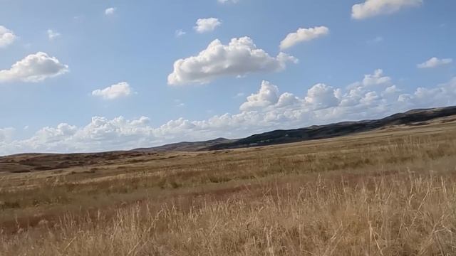 Милая, здорово, что у тебя трешка. Одну комнату займет ? смотреть онлайн