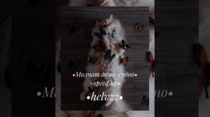 •Молчат дома-судно• ~speed up~