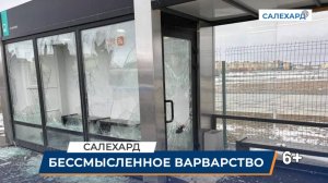 Бессмысленное варварство