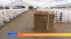 Минсельхоз определит главные «молочные» регионы