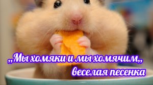Мы хомяки и мы хомячим( создание кадров в нейросети и монтаж Anna Andre😀)
