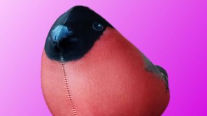 Виктор цой звезда по имени солнце