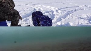 Окунь на балансир. С обеда.