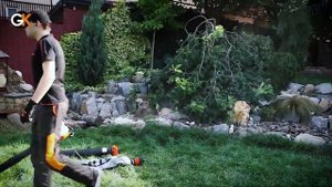 Огляд Садового пилососу STIHL SHE 81 | Офіційний дилер STIHL у