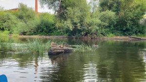 Сплав на байдарке. 24 часа в пути. Ночевка в лесу. Ермак.