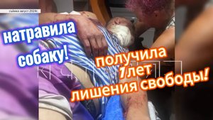 Натравила собаку? 7 лет колонии!